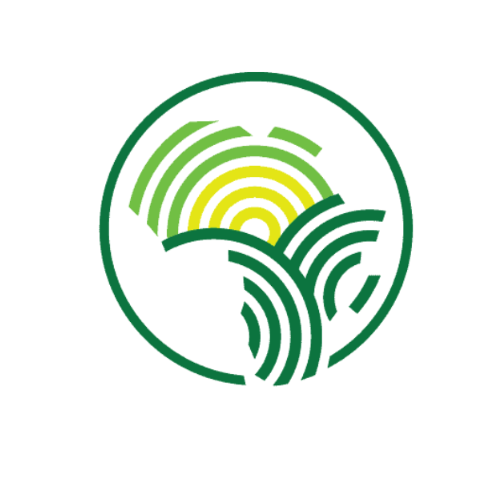 Director, Center of Excellence for Seed Systems Africa