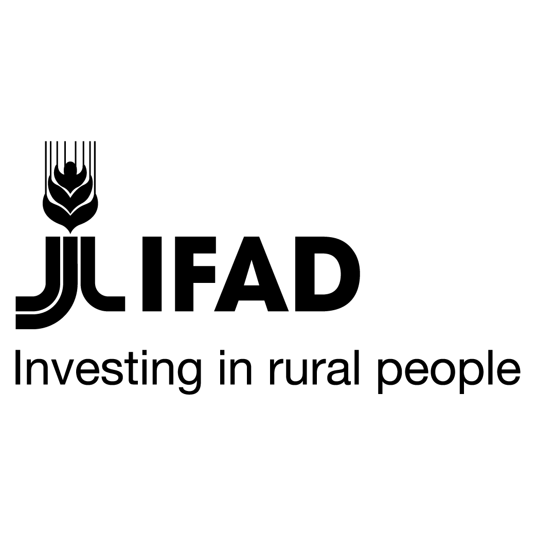 Director Communications