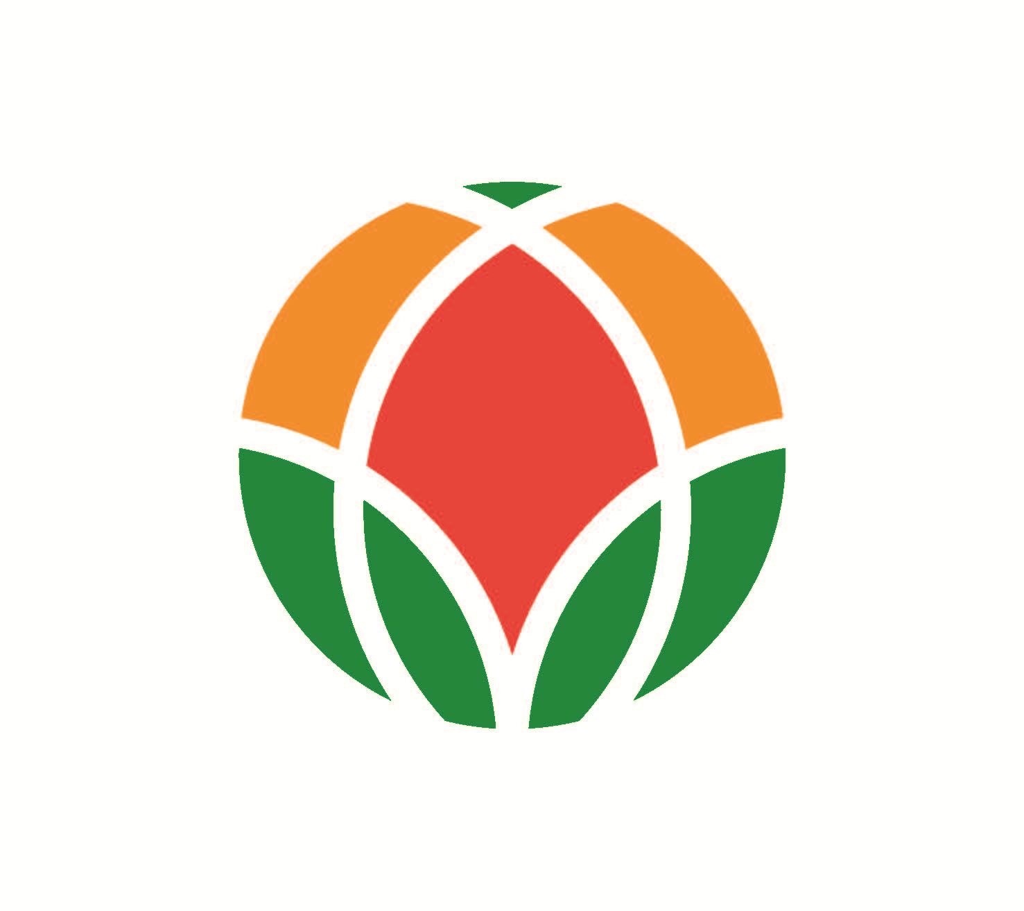 Director General