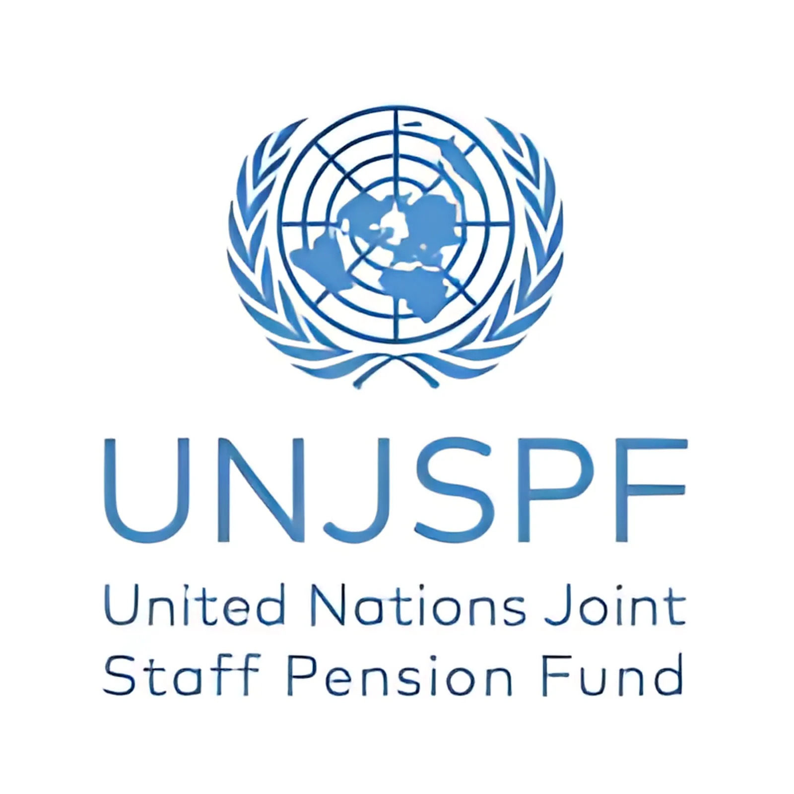 Representative of the Secretary General (RSG)