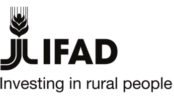 Director, Independent Office of Evaluation (IOE)